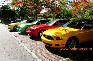 東營租車 東營汽車租賃 東營租車服務(wù) 東營租車公司,東營租車 東營汽車租賃 東營租車服務(wù) 東營租車公司生產(chǎn)廠家,東營租車 東營汽車租賃 東營租車服務(wù) 東營租車公司價格